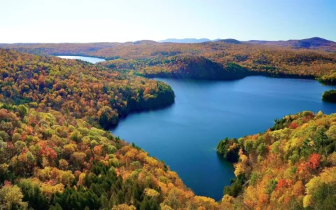 美国各州秋叶变色追踪网站汇总