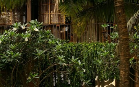 a pool surrounded by a lush green forest